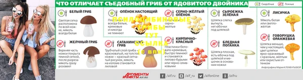 mix Богородицк